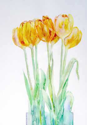 Dsc-tulips