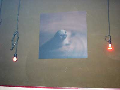 149-4975_IMG