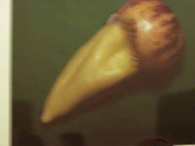 147-4708_IMG