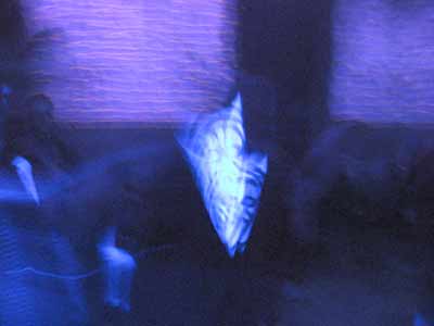 165-6561_IMG