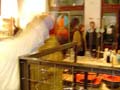 DSC01456