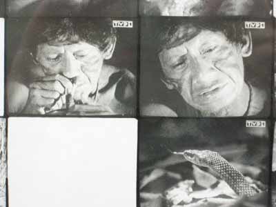 174-7490_IMG