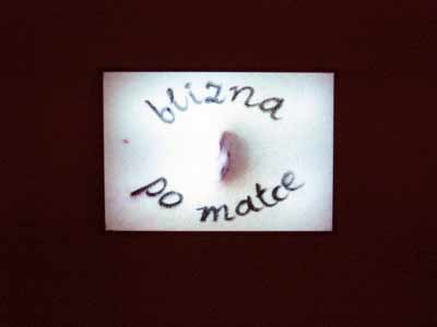 174-7496_IMG