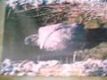 DSC00628