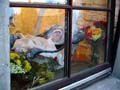 Dsc00018