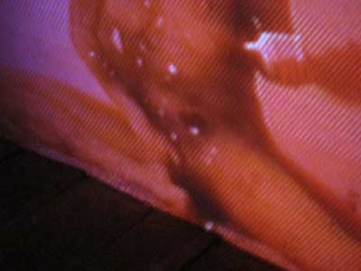 170-7048_IMG