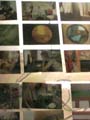 176-7664_IMG