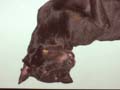 169-6992_IMG