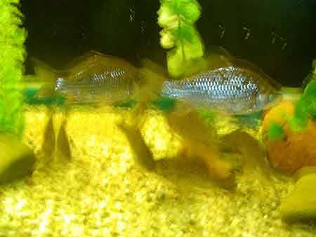 DSCN2511