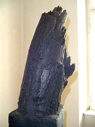 DSCN3519