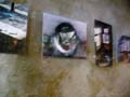 DSCN3468