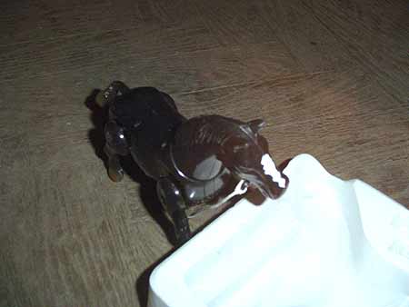 DSCN3006