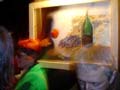 DSC03001
