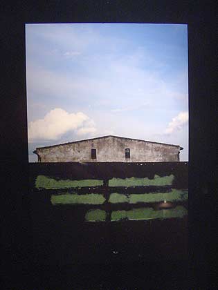 DSCN3195