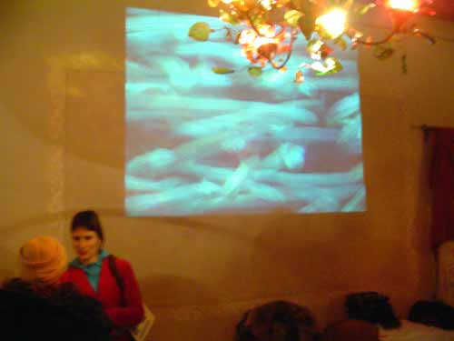 DSCN0047