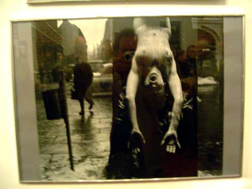 DSC06135