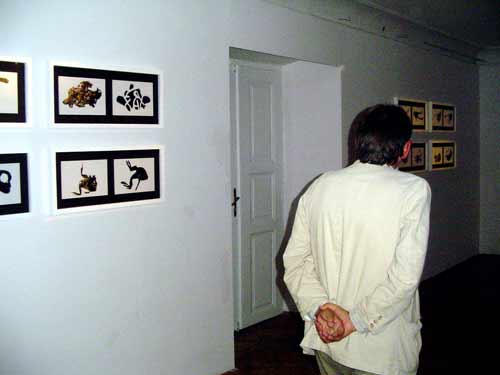 DSC08100