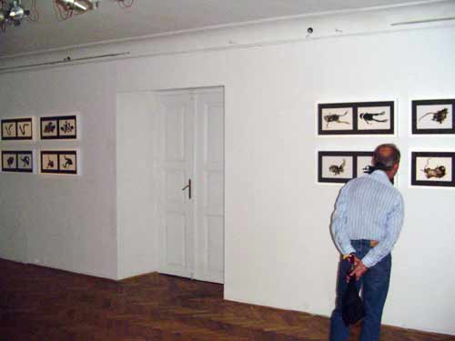 DSC08104
