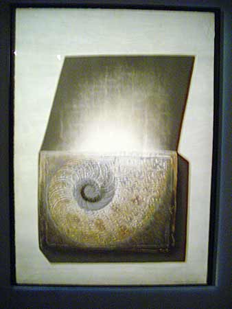 DSC08620