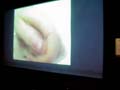DSC01701