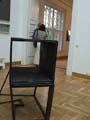 DSCF0813