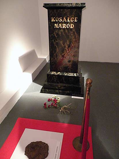 DSCN4889