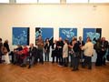 DSCN6817